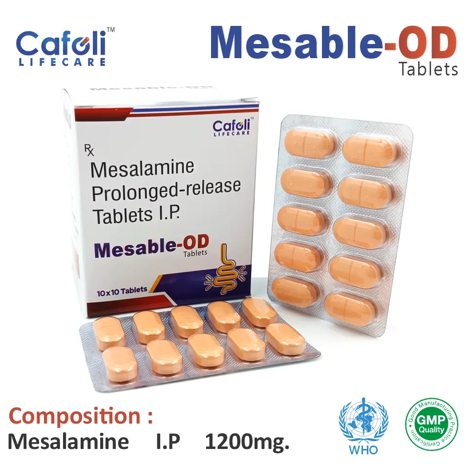 Mesalamine 1200mg Tablet | Anti-inflammatory | Best Price for PCD Pharma Franchise